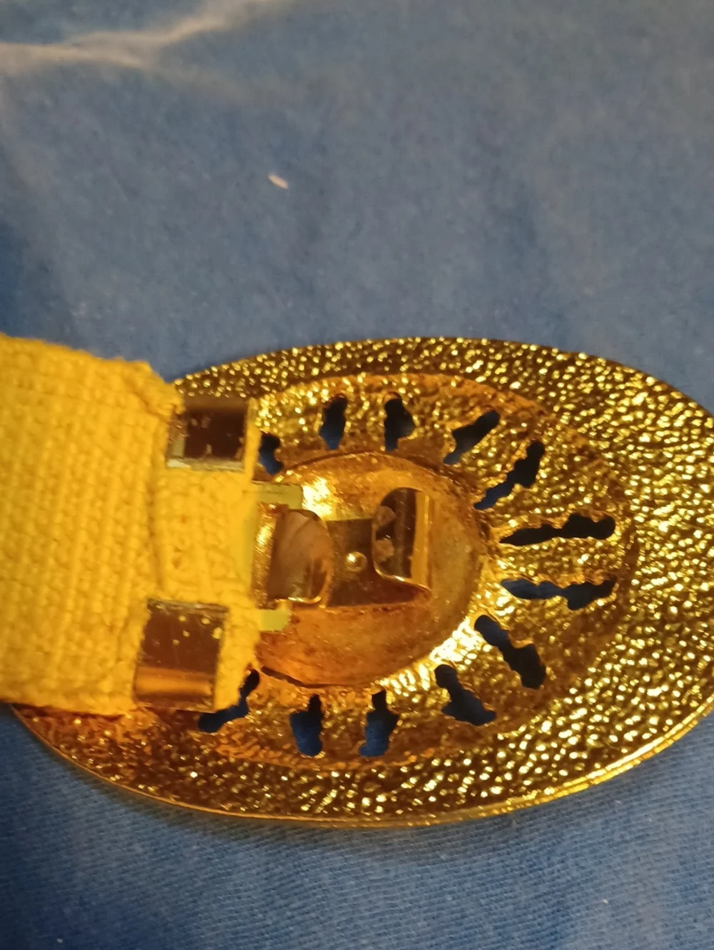 Vintage Lion Head Fish Scale Belt